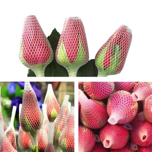 Lưới Bảo Vệ Tay Áo Hoa Hồng Lưới Bọc Hoa Màu Đỏ Cho Hoa, Lưới Trang Trí Hoa - Product Image 4