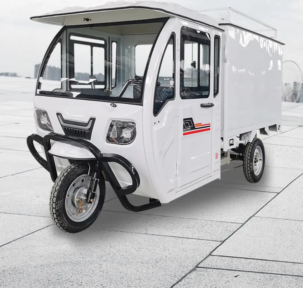 CE-geprüfte elektrische Trike Cargo Dreirad 3 Wheeler mit Container mit Kabine Express Lieferung Hochleistungs-Motorrad Trike