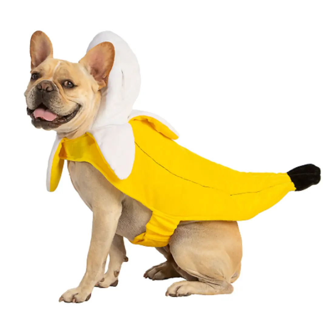 BOKHOUSE-ropa para mascotas, monos frutales, Bananas, pijamas, traje de Mascota, Sudadera con capucha de perro transformable