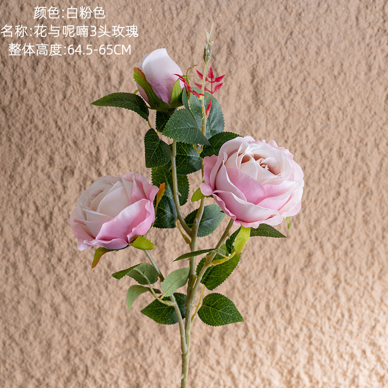Blanc rose