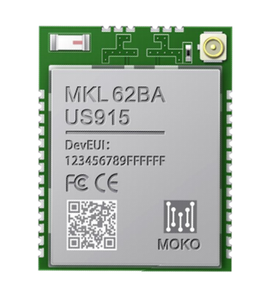 SX1262 LORA MKL62BA EU868 Frequenz Lorawan Funkmodul nrf52832 Lora-Modul für medizinische iot-Geräte