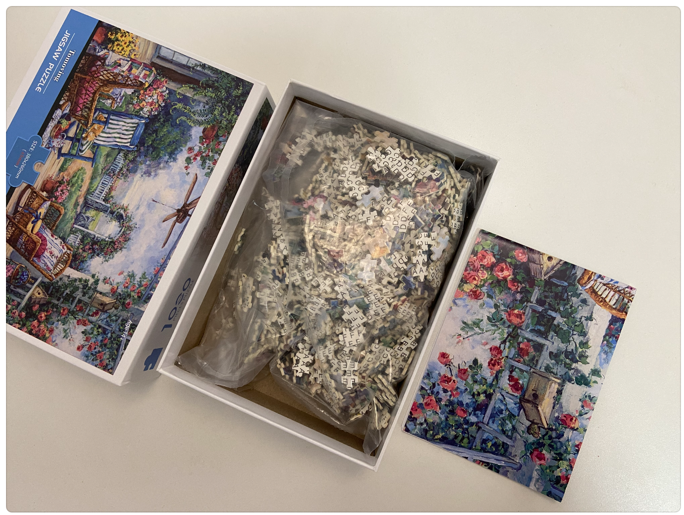 100 blanc 45.5x35.5cm