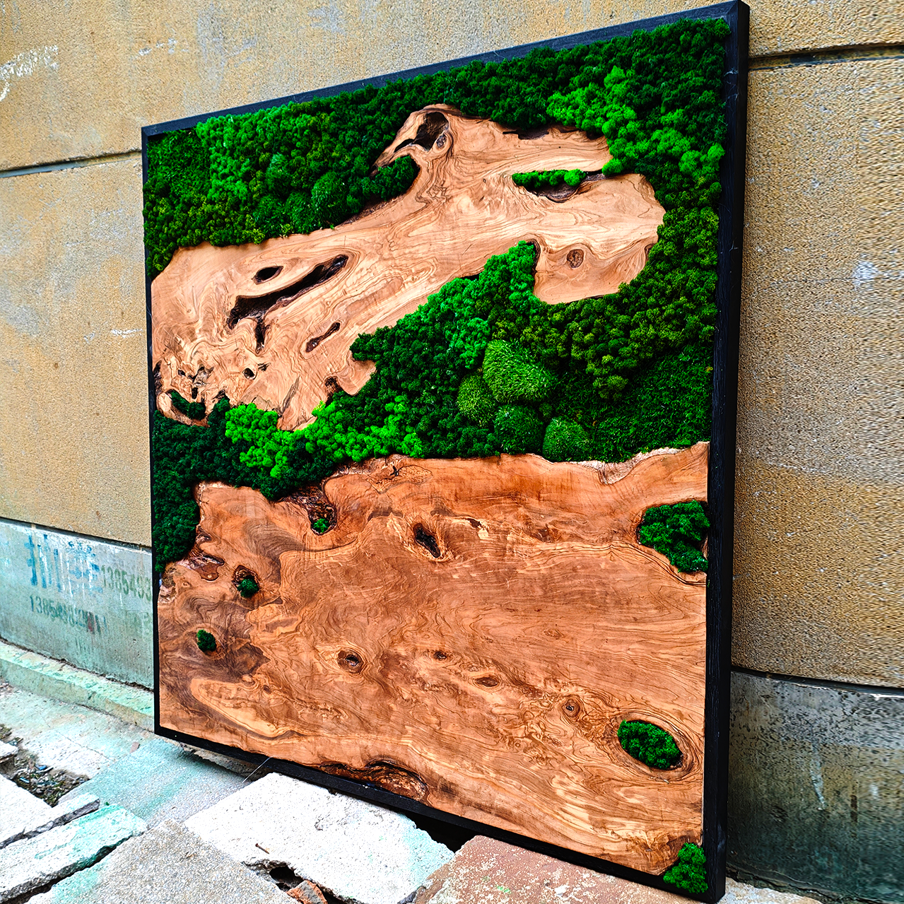 Mousse naturelle véritable dans un cadre en bois massif