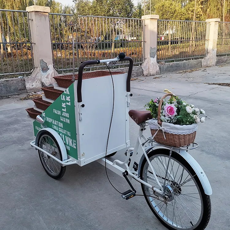 Venta ambulante, carrito de bicicletas, carrito de vendedor móvil para verduras, frutas en la calle