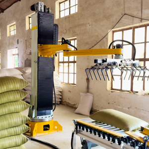 50kg Robotic Arm Pet Feed Bag Palletizer, Multi Line <strong>Stacker</strong>, Bag <strong>Cardboard</strong> Packaging Line - Product Image 3