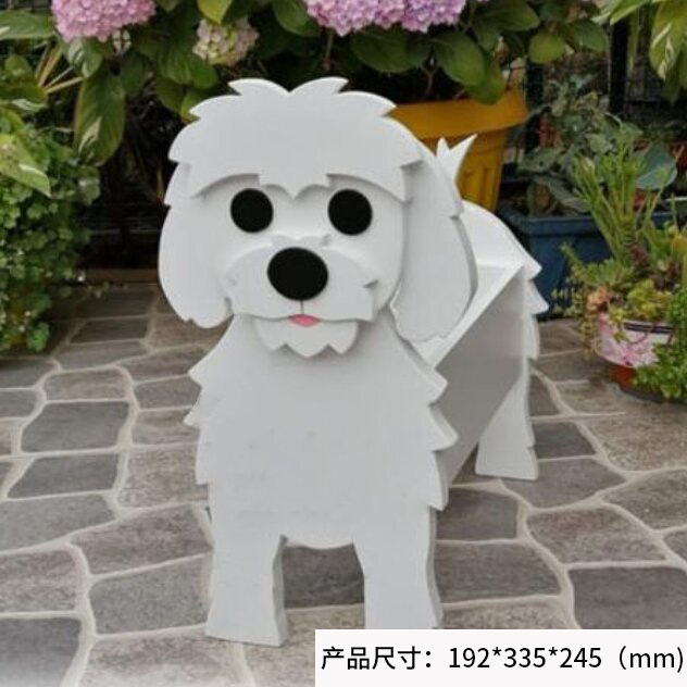 Maltese dog 622g
