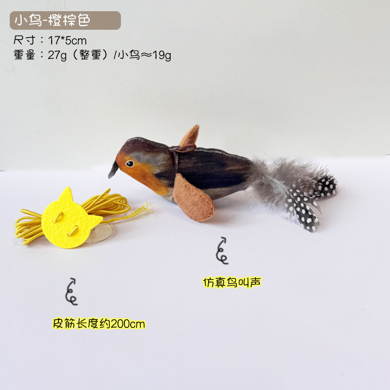 Oiseau orange marron