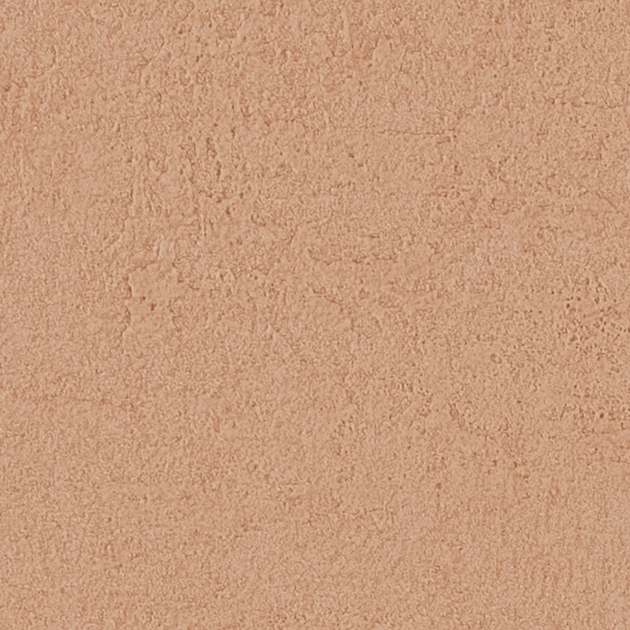 FE76052 _ C01