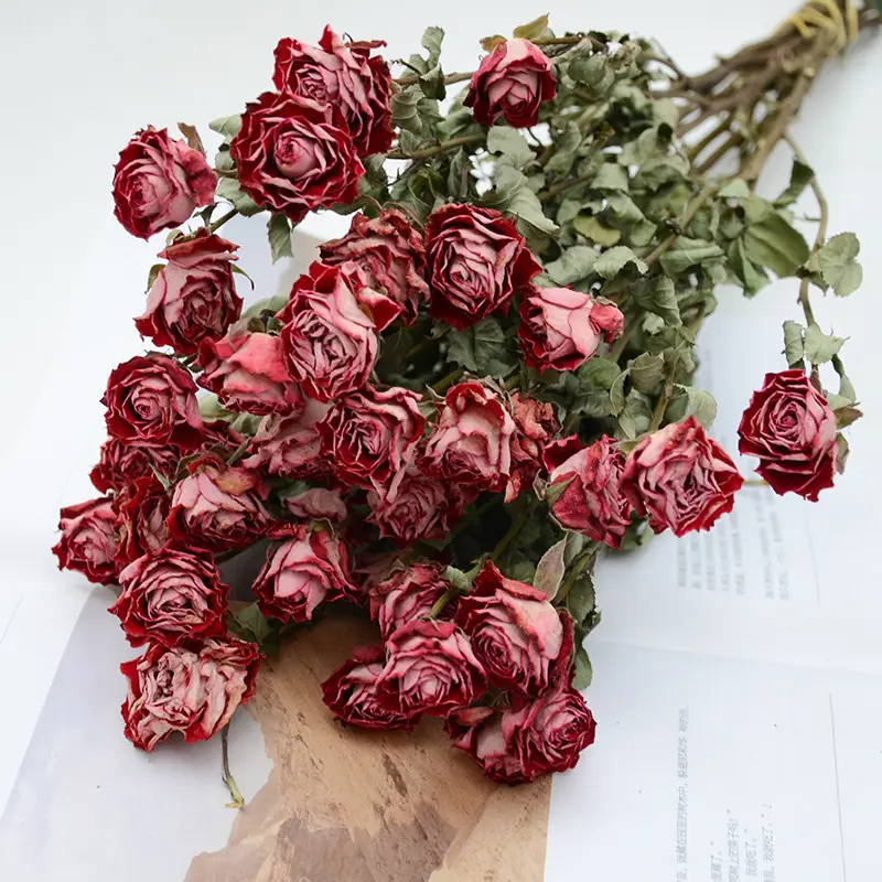 ยูนนานโรงงาน2023ขายส่งพิเศษดอกไม้ส่งมอบแห้งตกแต่งบ้าน Diy ดอกไม้แห้งแห้งกุหลาบตกแต่งดอกไม้