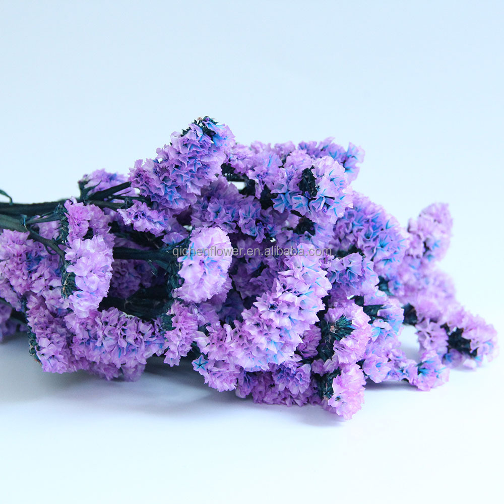 Lavanda