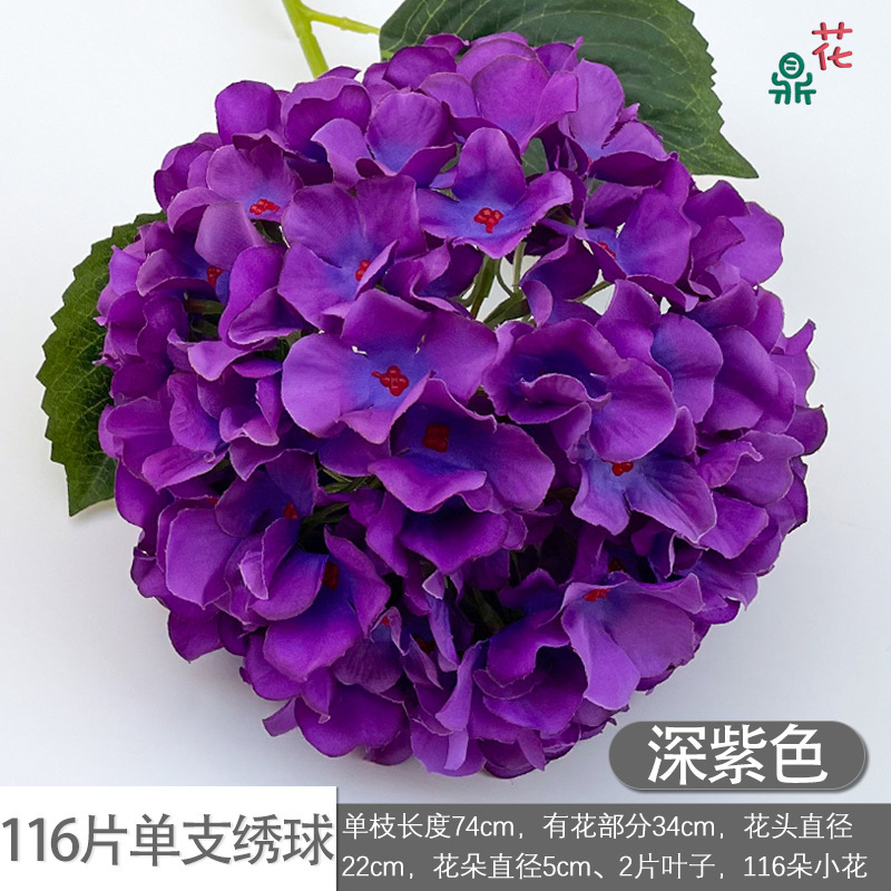 116 pétales sur un seul hortensia, violet foncé.