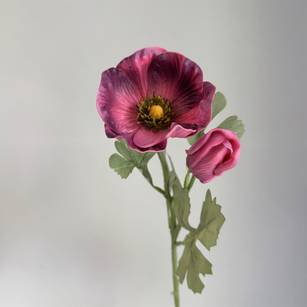 Morado oscuro