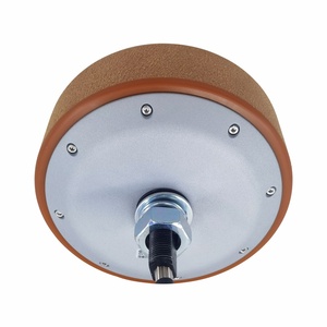 Low Speed High Power 4096 Magnetic Encoder 8inch 400kg Load 200RPM 48V Brushless AGV DC Wheel Hub Servo Motor with PU Tire - Product Image 1