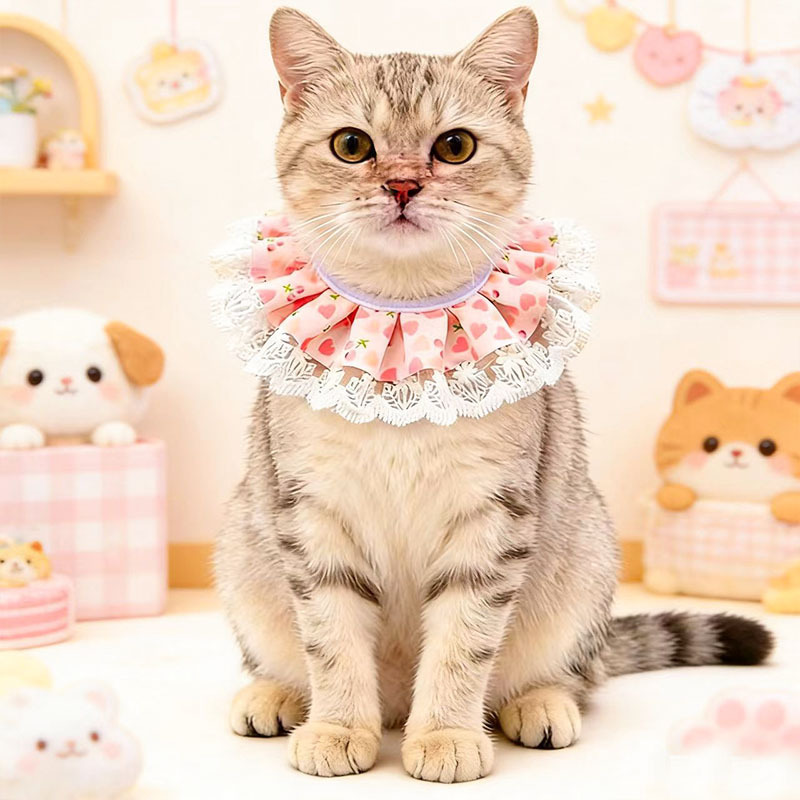 Rose féerique