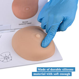 Simulator Female Inspection and <strong>Palpation</strong> Breast Self Examination Model Class Demonstration - Product Image 3