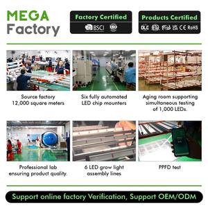 <span class=keywords><strong>2025</strong></span> Chức Năng 800W <span class=keywords><strong>LED</strong></span> Phát Triển Ligfht Quang Phổ Đầy Đủ Ba Kênh 8 Thanh Của Nhãn Hiệu <span class=keywords><strong>Dimmer</strong></span> Thêm UV Điốt Board Phổ - Product Image 5