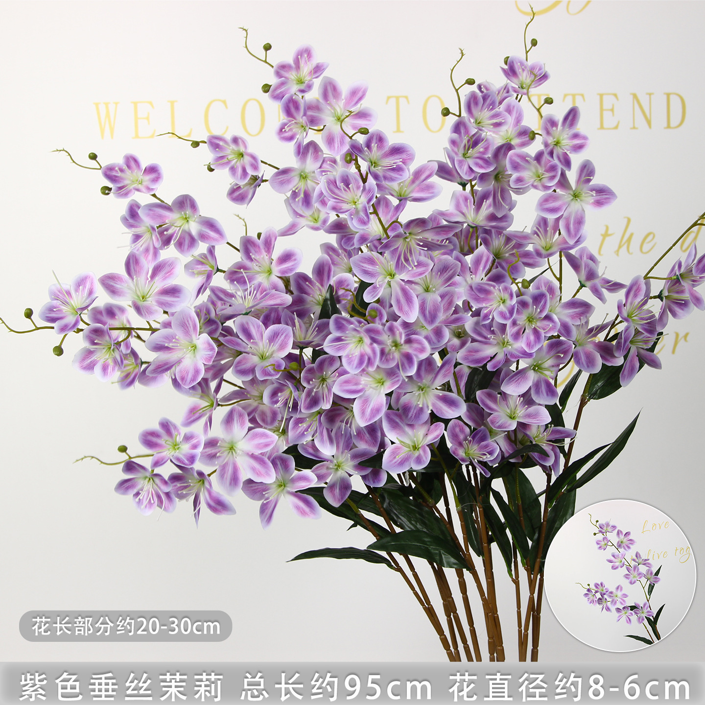 Branche de jasmin pleureur violet