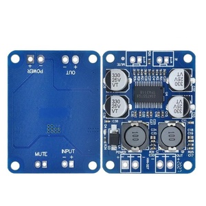 32pin Chip originale TPA3118 DC 12V-24V 60W Mono Audio digitale amplificatore scheda amplificatore - Product Image 5