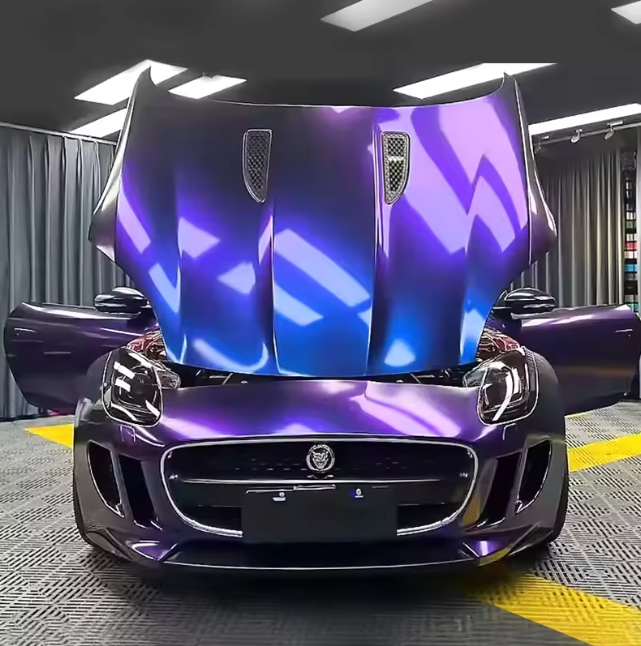 Blue/Purple Chameleon