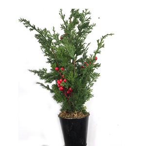 お祝いの装飾のためのクリスマスツリー人工植物 - Product Image 2