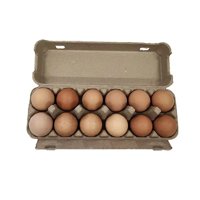 Заводская цена, лидер продаж, 12 яиц, биоразлагаемый, переработанный, высококачественный контейнер для целлюлозы, бумажные коробки для яиц