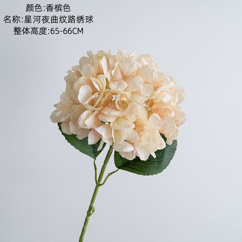 Champagne color