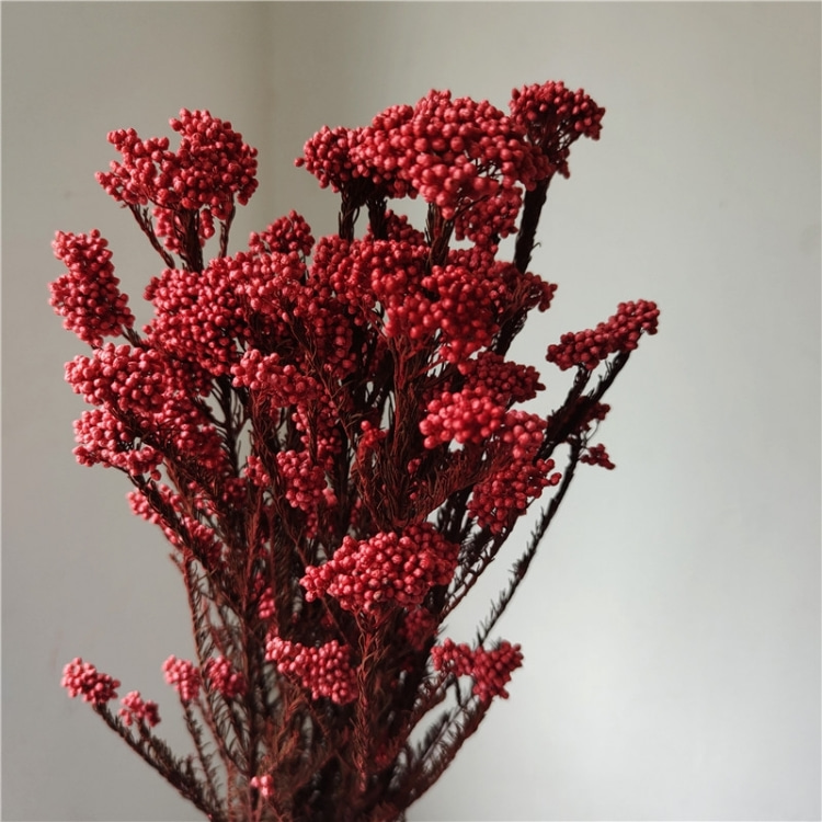 Rosso chiaro