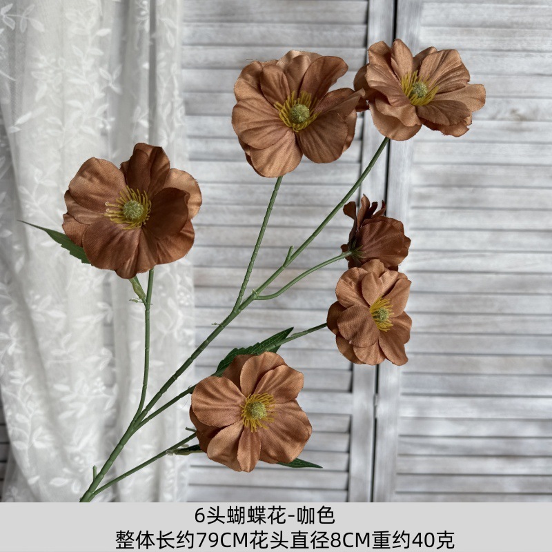 fleur de papillon