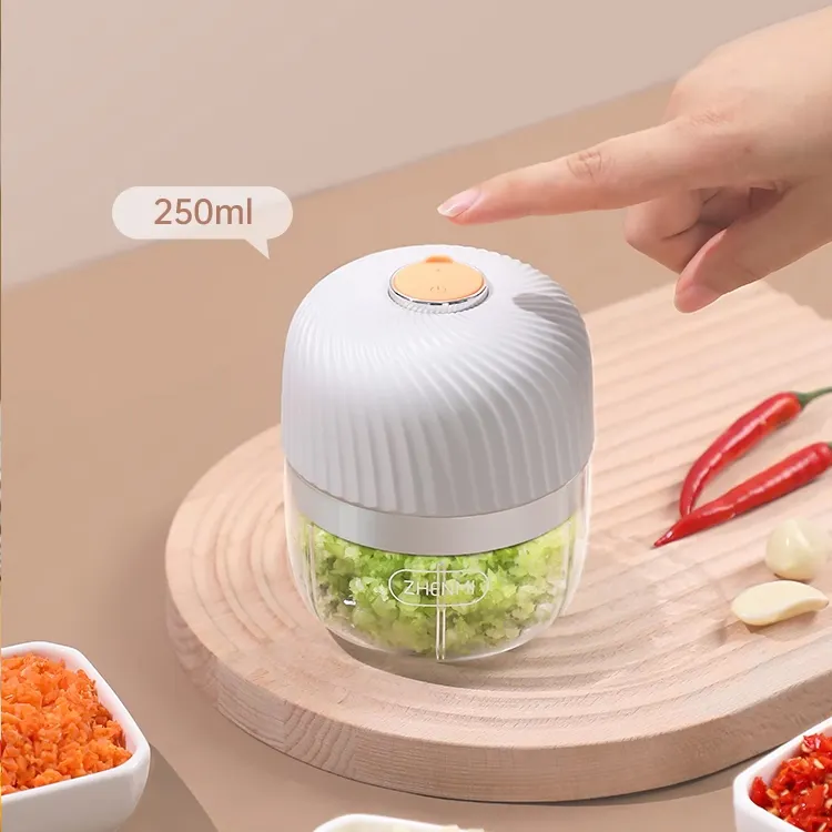 Toptan sıcak satış ev aletleri ulusal İşlevli elektrikli Blender 250ML mini gıda parçalayıcı USB şarj edilebilir