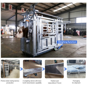 Trung quốc gia súc mạ kẽm tải CHUTE ít quy mô Đè Bẹp gia súc cho chăn nuôi có trọng lượng đầu bóp sân squeez Đè Bẹp gia súc - Product Image 2