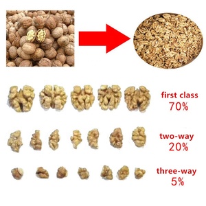 Edelstahl 3-stufige Trennung Getrocknete Walnuss schalen-und Kernel trenn maschine Pekan nüsse Entfernen Sie die Shell Picking Kernel Machine - Product Image 5