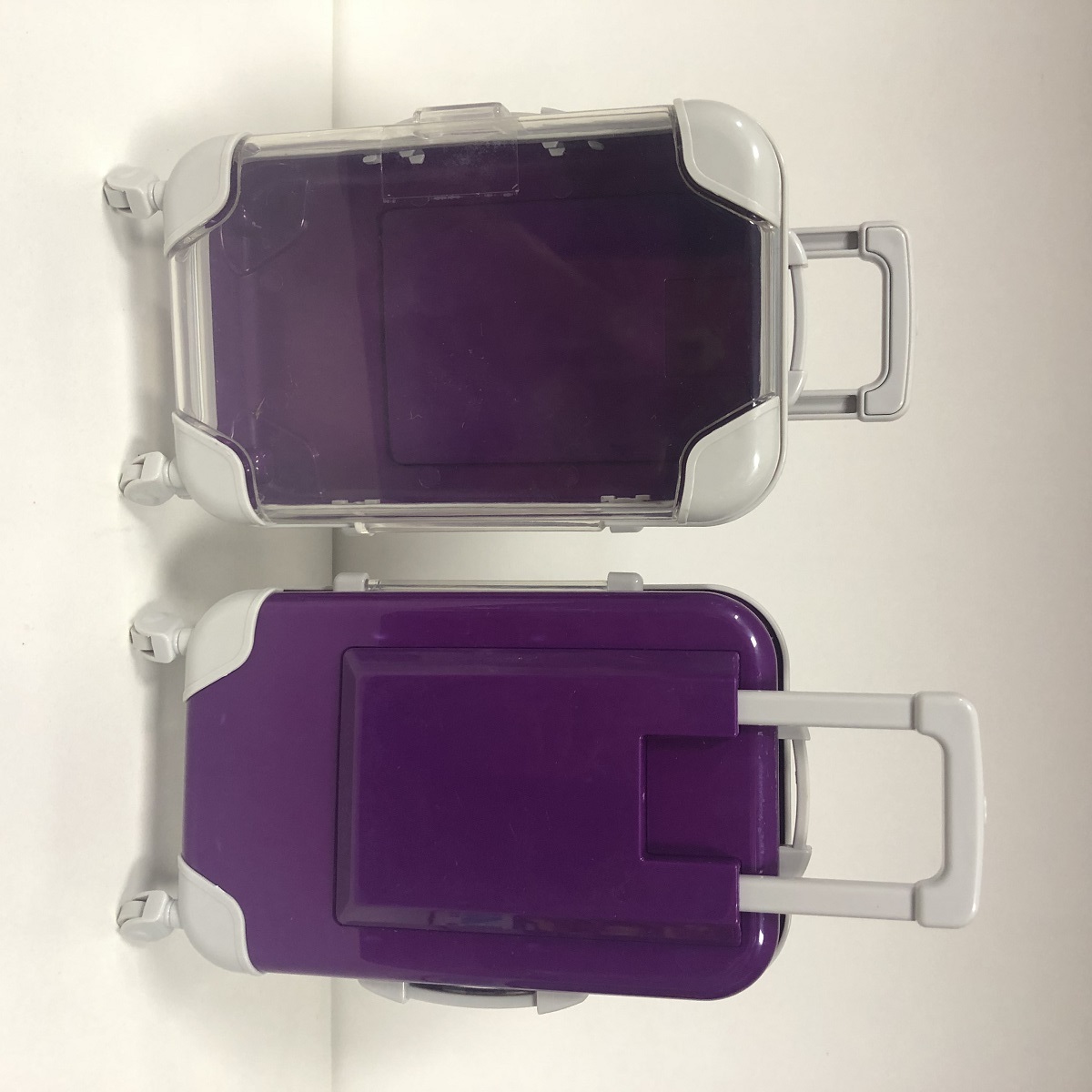 Viola