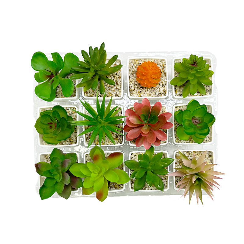 Mélanges de plantes 6 mélanges sélectifs 12