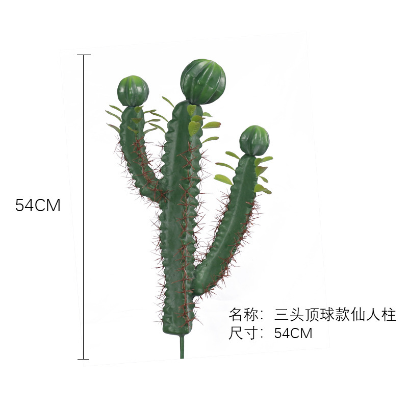 Cactus à trois têtes
