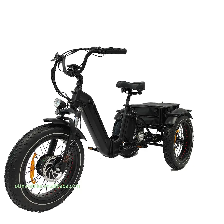Vélo électrique à 3 roues, double batterie, 750w, moteur avant, tricycle électrique