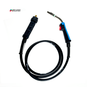 Nhà máy tùy chỉnh trực tiếp 25ak MIG Hàn ngọn đuốc 5m chiều dài cho thép không gỉ và nhựa cho khí gas - Product Image 1