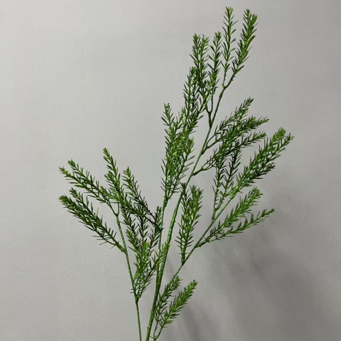 Melasagna trigo dorado