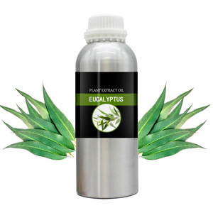 Wholesale Essential <strong>Oil</strong> Pure Nature Eucalyptu Sessential <strong>Oil</strong> Plant Extract High Essence for Bulk - Product Image 3