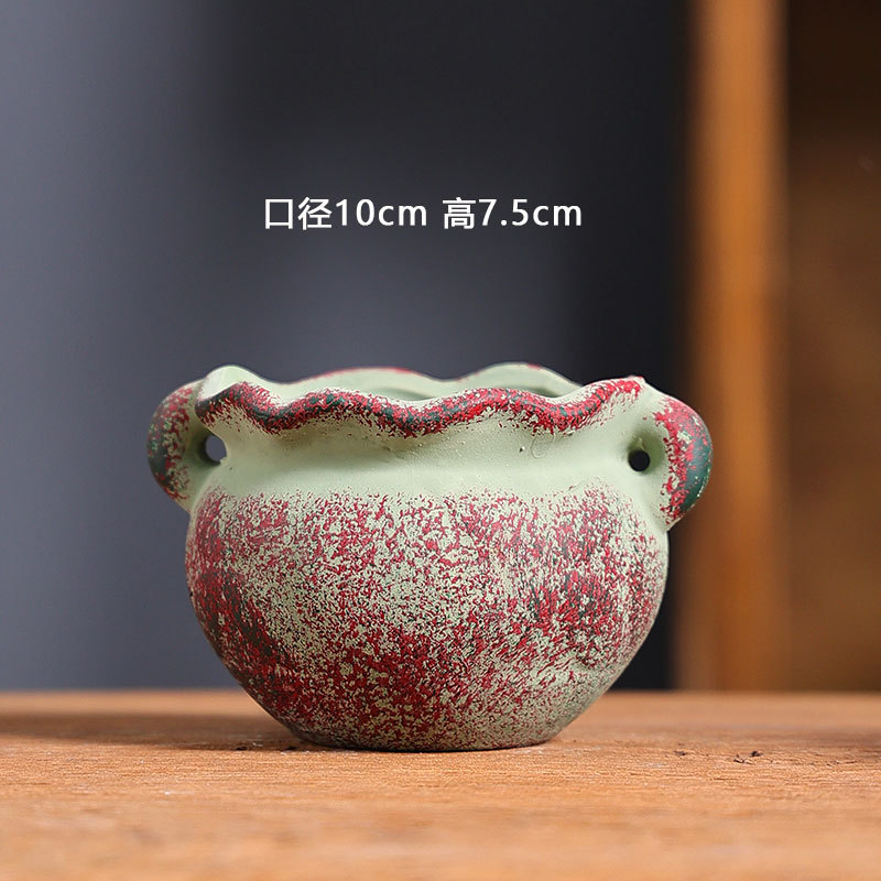 Petit méditerranéen-15