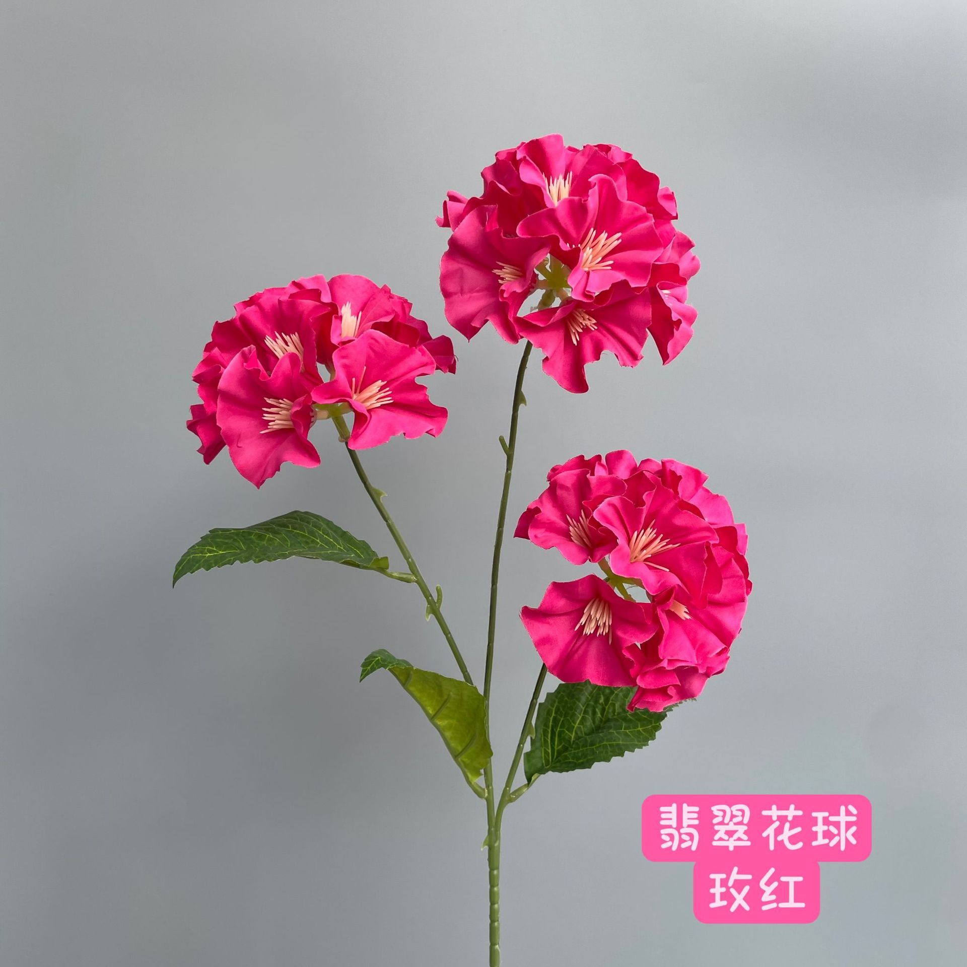 Rose rouge