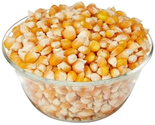 Maïs entier sac de 25kg Maïs jaune de meilleure qualité pour la consommation humaine Maïs blanc/maïs jaune séché en vrac