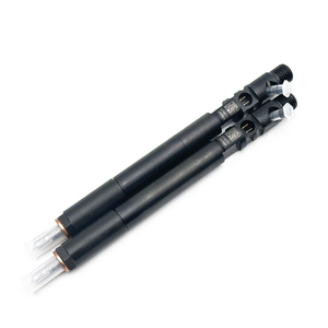 デルファイディーゼルコモンレールインジェクターA6650170121中国工場 - Product Image 2