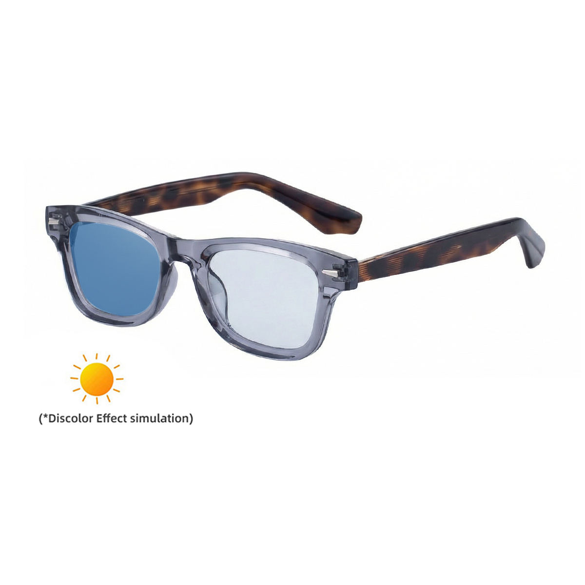 C5 Transparency Gray Turn Light Blue