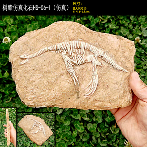 古生物学三叶虫真化石爬行动物盒沙漠景观禁忌湿鬃狮树脂雕像客厅装饰