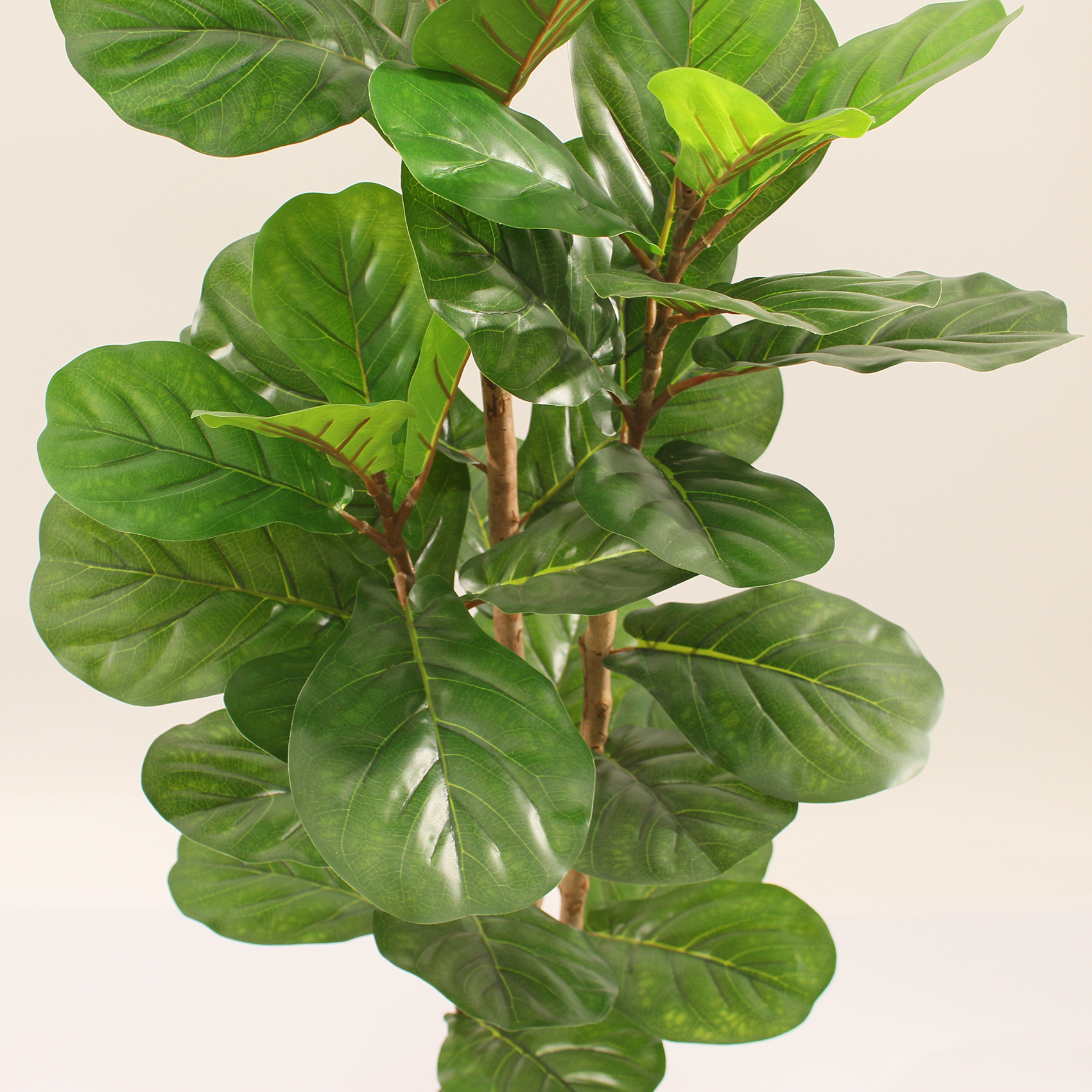 กองทัพสีเขียว