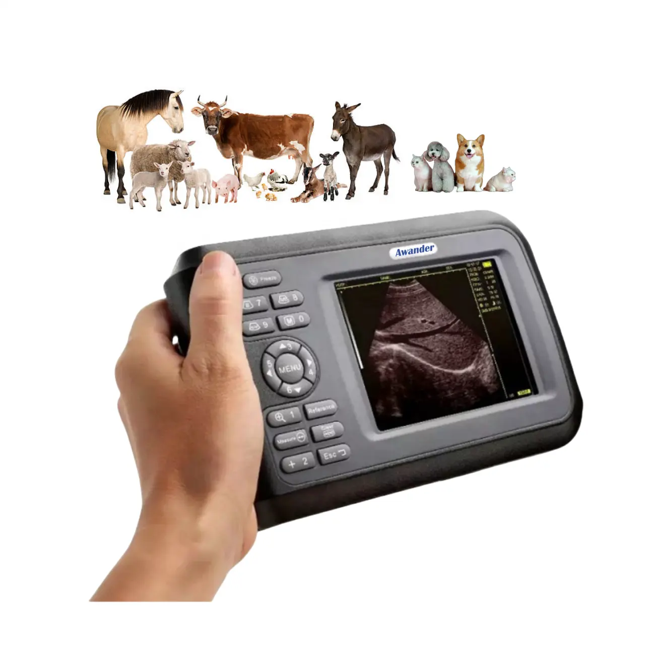 Großhandel Veterinär tragbarer Ultraschall-Scanner für große Tiere Ultraschallgerät Rinder Schwangerschaftsscanner Tierarzt Ultraschall
