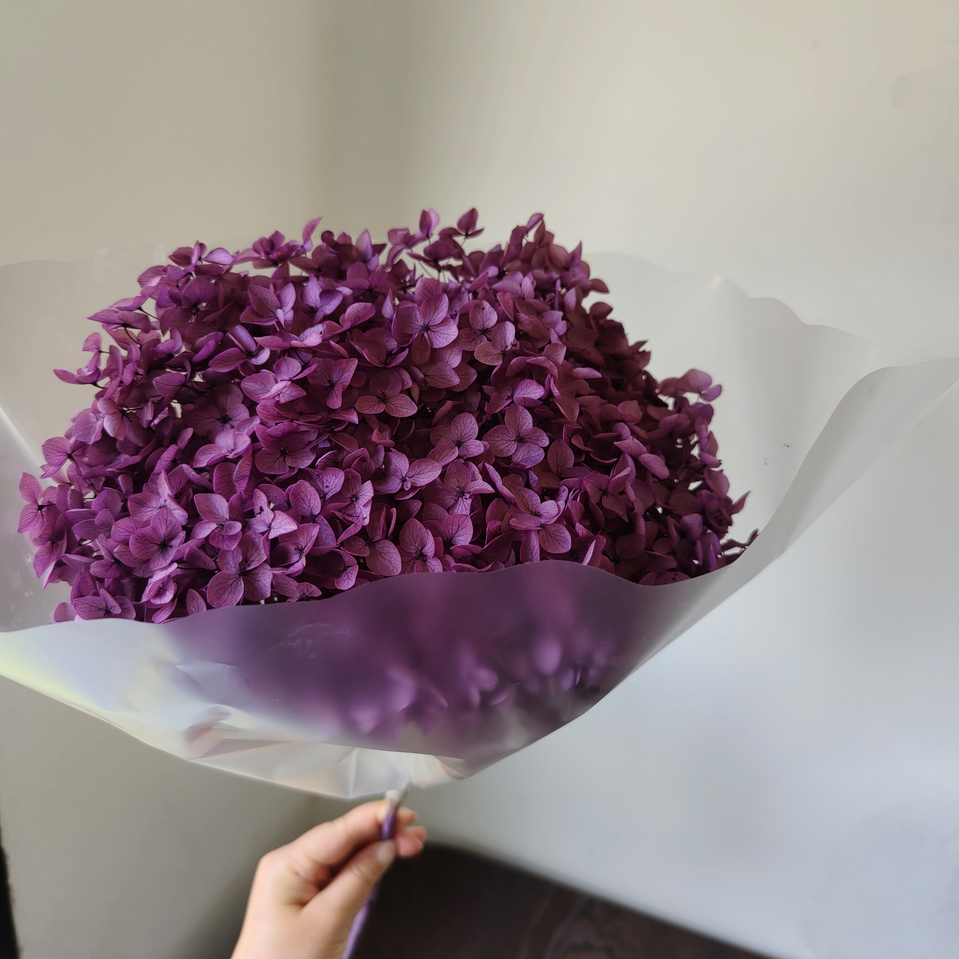 raisin violet