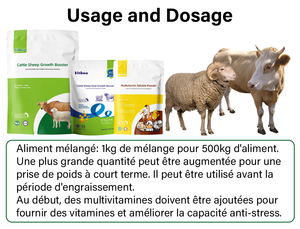 Meilleure vente dans le monde Bovins moutons Gain de poids Compléments nutritionnels Additifs alimentaires pour le bétail - Product Image 6