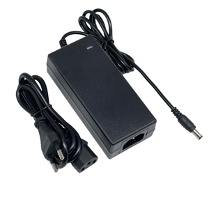 Direttamente produttore 24V 2A ad alta potenza di commutazione di alimentazione indicatore luminoso oscuramento vetro atomizzazione 48W adattatori Desktop