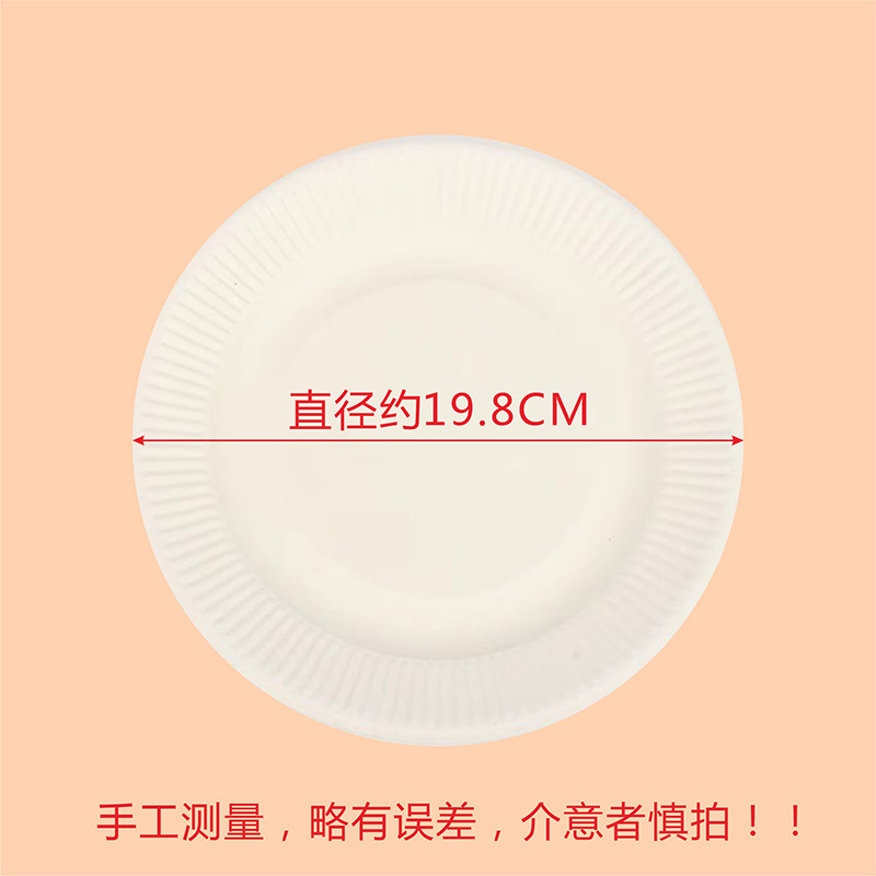 8-inch paper plate (approximately 20cm in diameter)